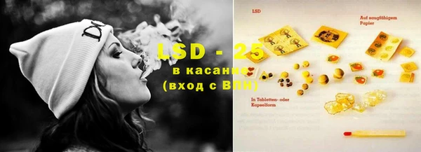 ПСИЛОЦИБИНОВЫЕ ГРИБЫ Верхнеуральск