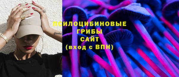 ПСИЛОЦИБИНОВЫЕ ГРИБЫ Верхнеуральск