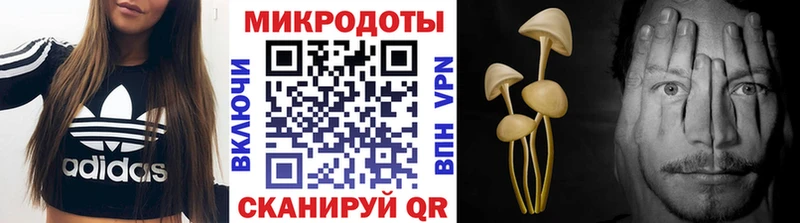 Галлюциногенные грибы Magic Shrooms  Людиново 